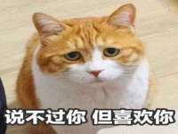 昭通市昭阳区易记软件开发有限公司
