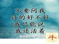 昭通市昭阳区易记软件开发有限公司