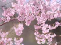 昭通市昭阳区易记软件开发有限公司