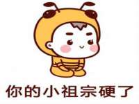 昭通市昭阳区易记软件开发有限公司