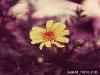 昭通市昭阳区易记软件开发有限公司