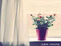 昭通市昭阳区易记软件开发有限公司