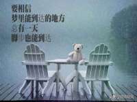 昭通市昭阳区易记软件开发有限公司