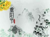 昭通市昭阳区易记软件开发有限公司