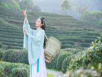 昭通市昭阳区易记软件开发有限公司