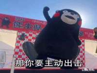 昭通市昭阳区易记软件开发有限公司