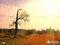 昭通市昭阳区易记软件开发有限公司