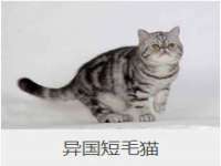 昭通市昭阳区易记软件开发有限公司