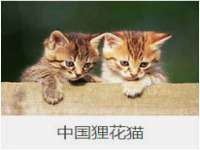 昭通市昭阳区易记软件开发有限公司