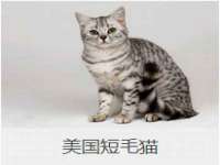 昭通市昭阳区易记软件开发有限公司