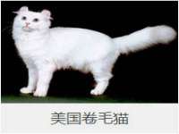 昭通市昭阳区易记软件开发有限公司