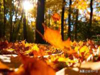 昭通市昭阳区易记软件开发有限公司