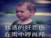 昭通市昭阳区易记软件开发有限公司