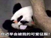 昭通市昭阳区易记软件开发有限公司