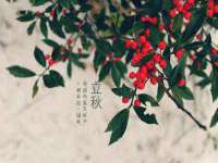 昭通市昭阳区易记软件开发有限公司