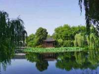 昭通市昭阳区易记软件开发有限公司