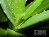 昭通市昭阳区易记软件开发有限公司