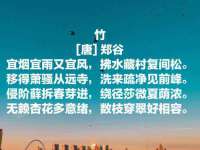昭通市昭阳区易记软件开发有限公司