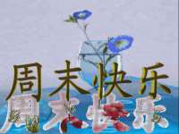 昭通市昭阳区易记软件开发有限公司