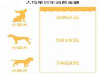 昭通市昭阳区易记软件开发有限公司
