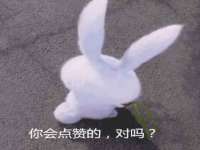 昭通市昭阳区易记软件开发有限公司