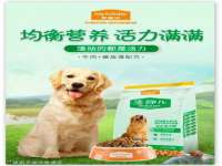 昭通市昭阳区易记软件开发有限公司