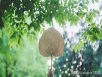 昭通市昭阳区易记软件开发有限公司