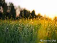 昭通市昭阳区易记软件开发有限公司
