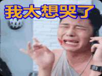 昭通市昭阳区易记软件开发有限公司
