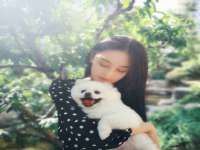 昭通市昭阳区易记软件开发有限公司