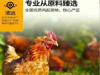 昭通市昭阳区易记软件开发有限公司