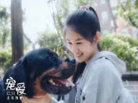 昭通市昭阳区易记软件开发有限公司