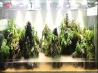昭通市昭阳区易记软件开发有限公司