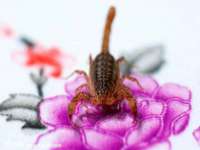 昭通市昭阳区易记软件开发有限公司