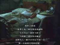 昭通市昭阳区易记软件开发有限公司