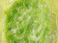 昭通市昭阳区易记软件开发有限公司