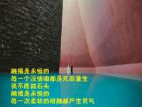 昭通市昭阳区易记软件开发有限公司