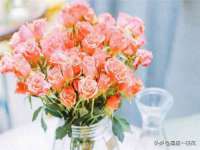 昭通市昭阳区易记软件开发有限公司