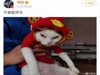 昭通市昭阳区易记软件开发有限公司